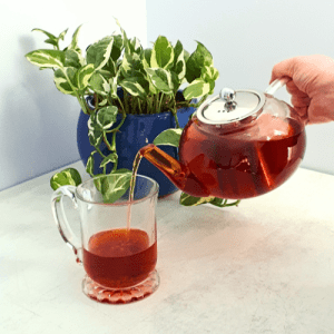 Glass Tea Pot